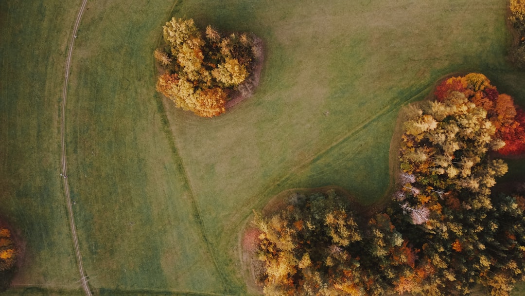 Resep Ayam Geprek Sambel Kemangi Rahasia Kerenyahan Maksimal Ala Resto