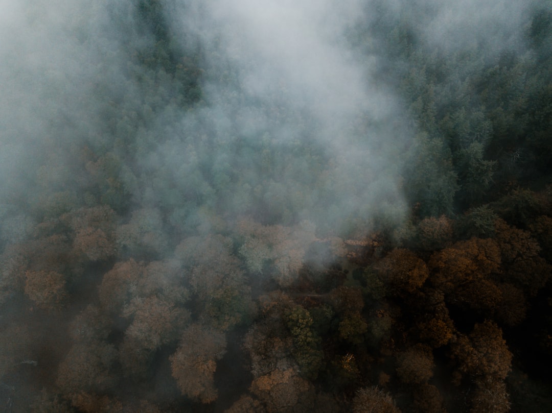 Sambal Cobek Pak Awan